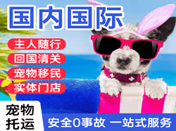 乌兰浩特机场托运国际宠物托运 【国